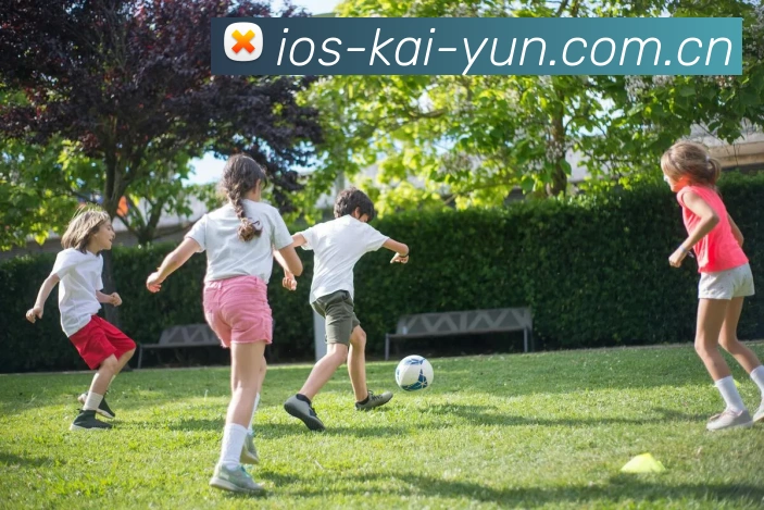 开云 App